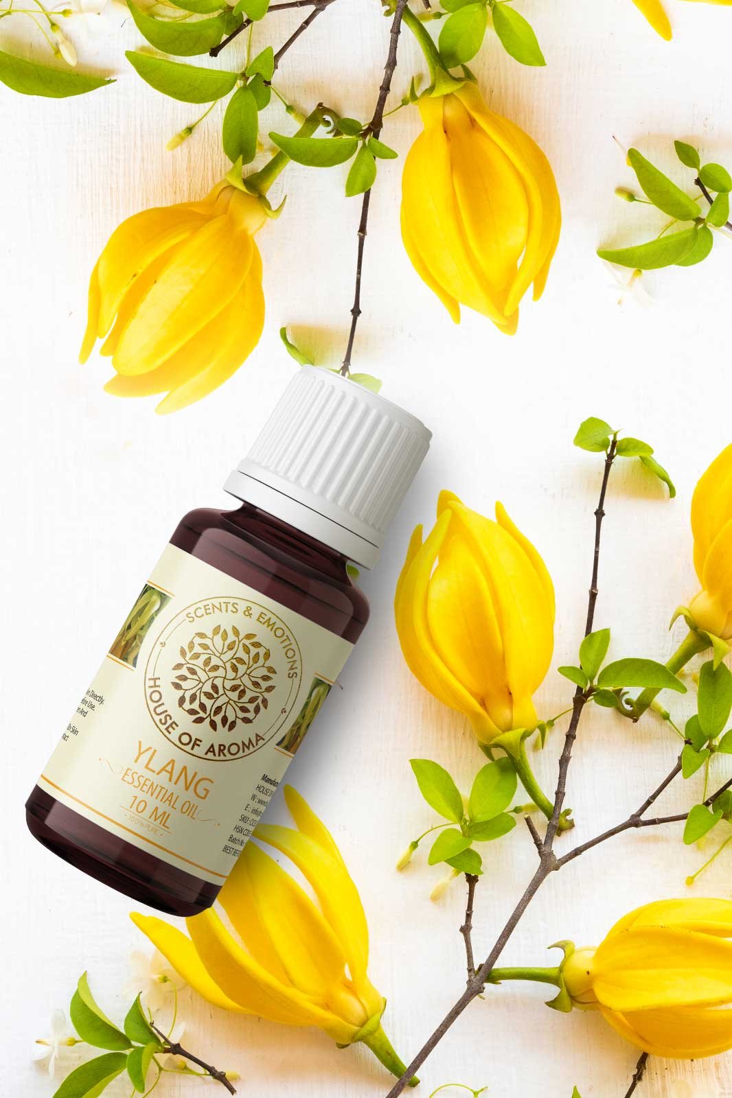 ylang essential oil, ylang ylang essential oil, ylang oil, ylang oil for hair, ylang oil for skin, ylang ylang oil, potent essential oil, ylang ylang essential oil for hair, essential oil, hair growth essential oil, organic essential oil, organic essential oil manufacturers, house of aroma