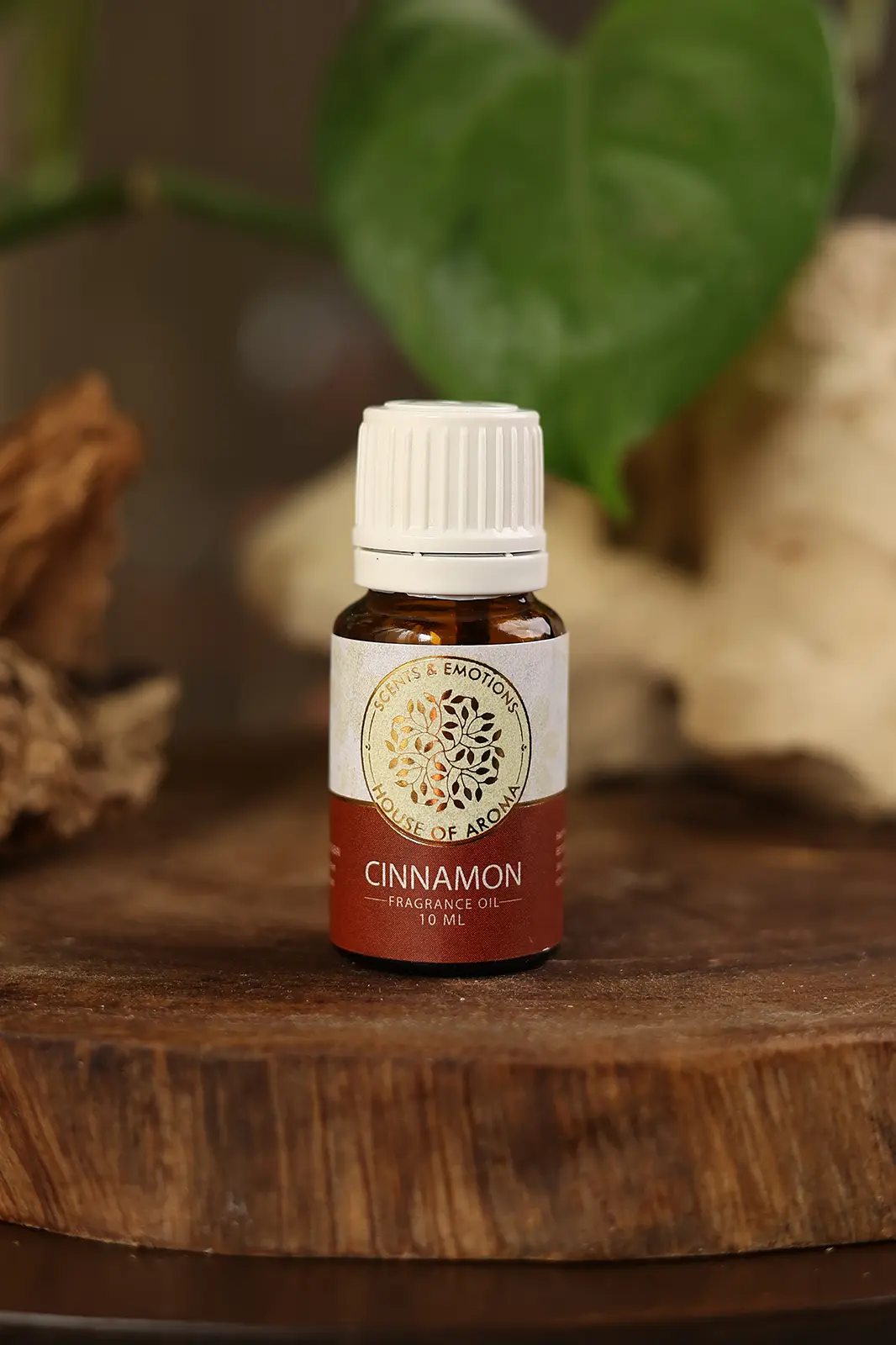 Fragrance Oil, Aroma oil, Synthetic oils, Fragrance oil for candles, oil for diffusers, Aromatic oil, Candle oil, Aromatherapy oil, oil manufacturers, House of Aroma, Cinnamon Fragrance Oil, cinnamon fragrance brand, cinnamon spice fragrance oil, cinnamon scented oil, cinnamon clove oil, cinnamon oil, spicy flavour aroma oil, cinnamon scented oil