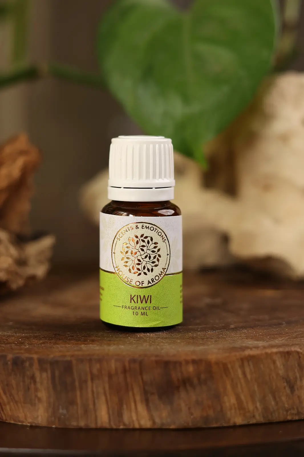 kiwi fragrance oil 100ml, kiwi oil, fragrance oil store, fruity fragrance, fruit fragrance perfume, pure aroma fragrance oil, fruity fragrance oils, fruity fragrance notes, fragrance oil for diffuser, fruity smell perfume in india, fragrance aroma, best fragrance oil for diffuser, fruity fragrance for her, fresh fragrance oil, outdoor fresh fragrance oil