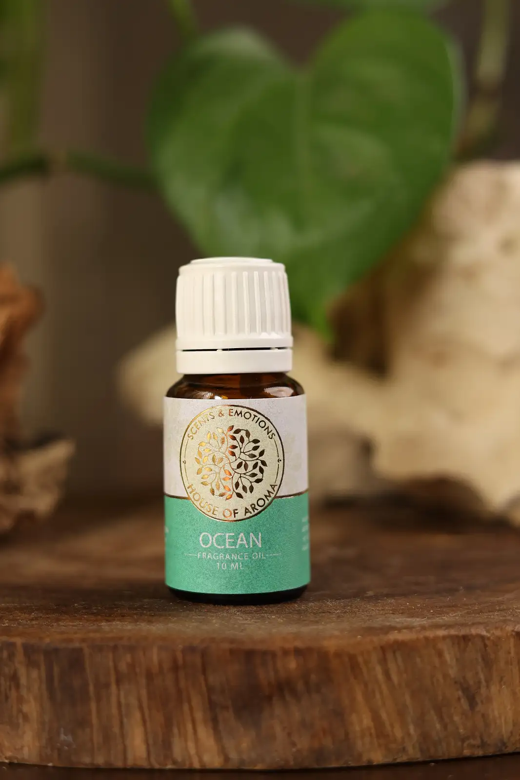 Fragrance Oil, Aroma oil, Synthetic oils, Fragrance oil for candles, oil for diffusers, Aromatic oil, Candle oil, Aromatherapy oil, oil manufacturers, House of Aroma, ocean fragrance oil, ocean breeze fragrance oil, ocean fragrance perfume, oceanic fragrance, ocean aroma oil, ocean oil benefits, ocean scented oils, ocean fresh oil