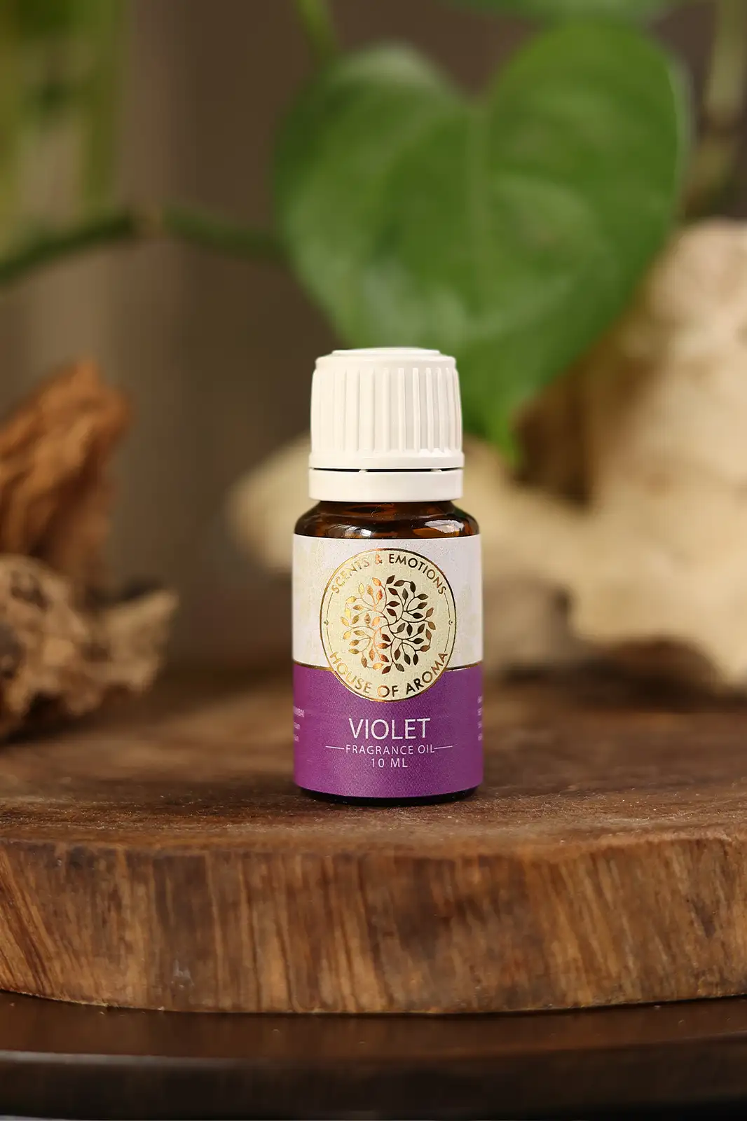 Fragrance Oil, Aroma oil, Synthetic oils, Fragrance oil for candles, oil for diffusers, Aromatic oil, Candle oil, Aromatherapy oil, oil manufacturers, House of Aroma, violet fragrance oil, violet fragrance, violet lime fragrance oil, violet fragrantica, bergamot violet fragrance oil, violet sparkle fragrance oil, violet candle fragrance oil, violet-scented oil, sweet violet fragrance oil, violet leaf fragrance oil, violet floral aroma oil