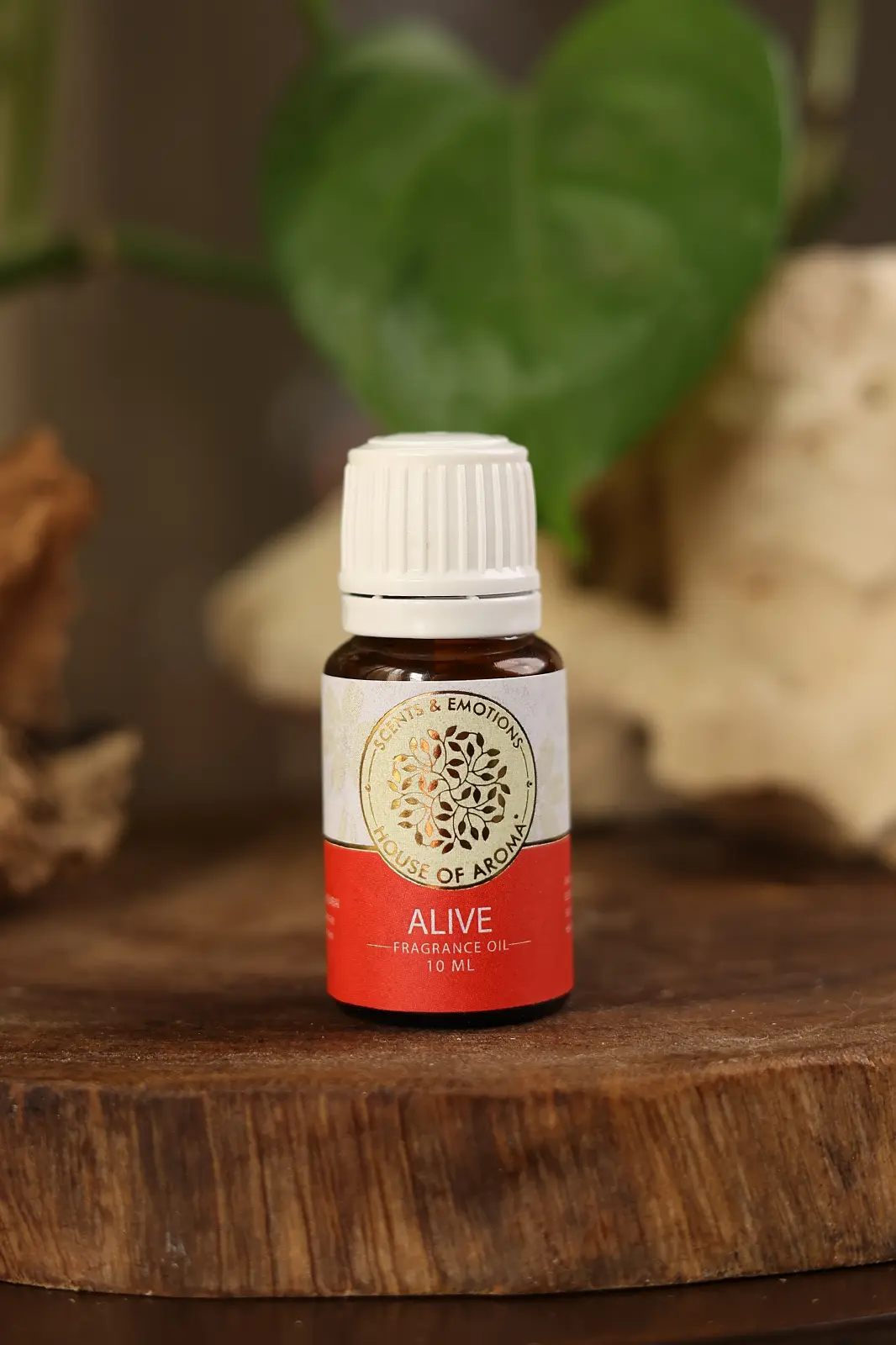 alive fragrance oil 100ml, Fragrance Oil, Aroma oil, Synthetic oils, Fragrance oil for candles, oil for diffusers, Aromatic oil, Candle oil, Aromatherapy oil, oil manufacturers, House of Aroma, alive fragrance oil, fragrance oil for candles, floral scents, alive oil, alive scented oil, alive aroma oil, alive oil benefits, alive oil uses, alive fragrance oil, fragrance brands in India