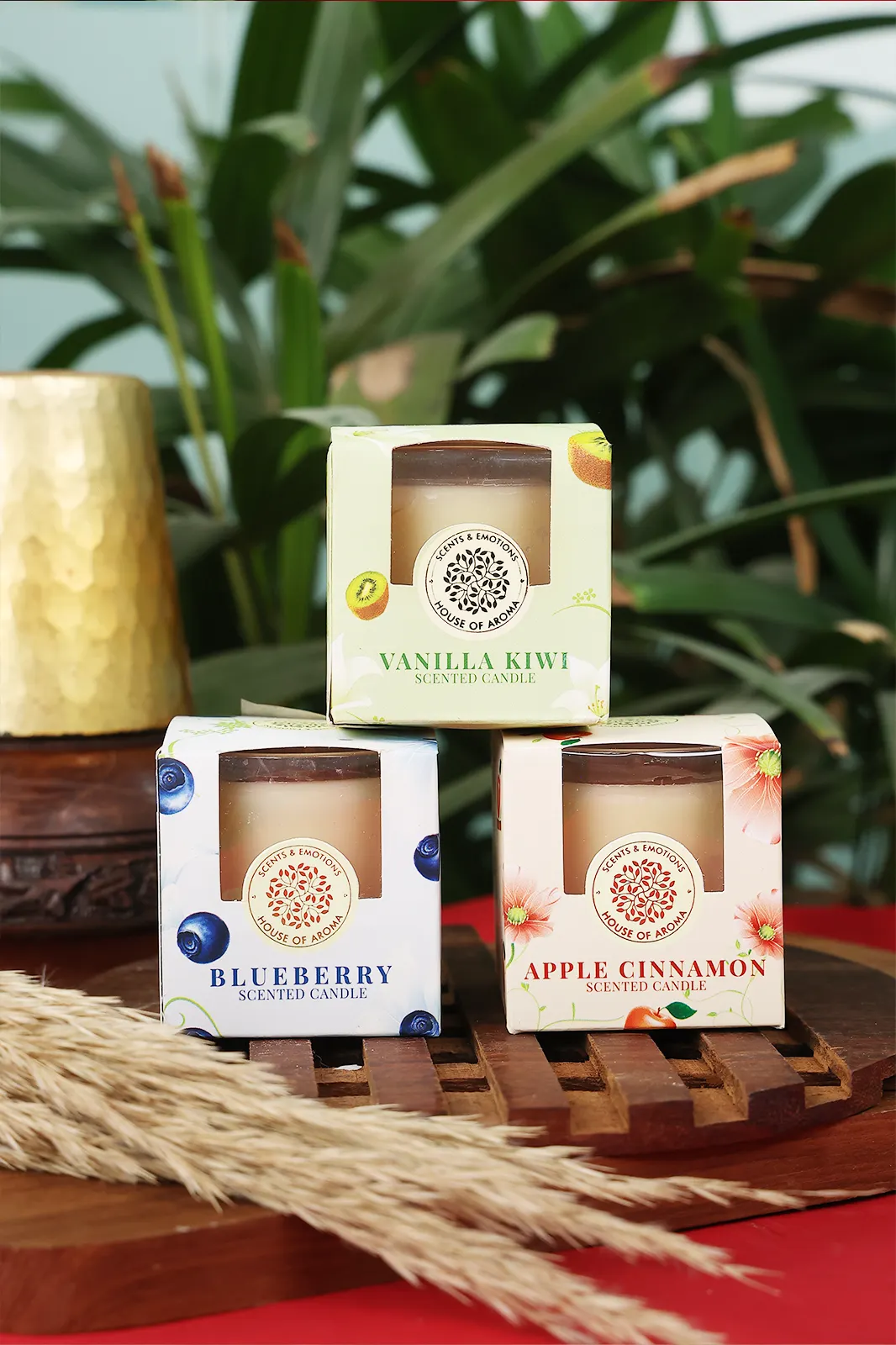 fruit fragrance candles, fragrance candles gift set, scented candles, Scented candles combo, fragrance candle set, home fragrance candles, online scented candles, scented candle online, natural fragrance candles, fragrance candles gift set, blueberry scented candles, vanilla fragrance candle, apple cinnamon candle