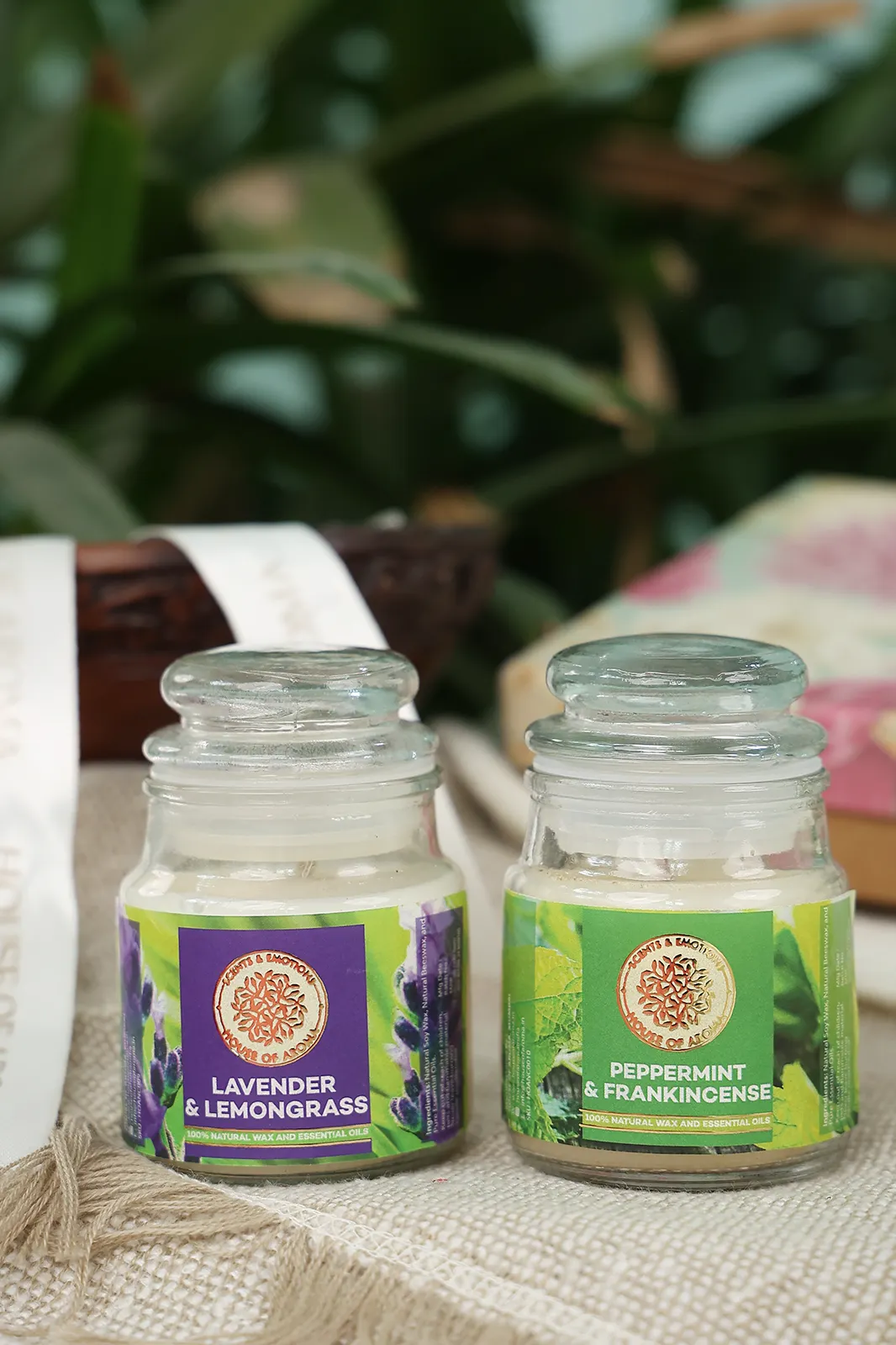 organic scented candles combo pack, organic scented candles, candles with aroma, scented candles pack, scented candles online, scented candles combo, soy candles, bees wax candles, scent soy candles, soy candles online, paraffin wax candles, wax candles, candles with aroma, house of aroma