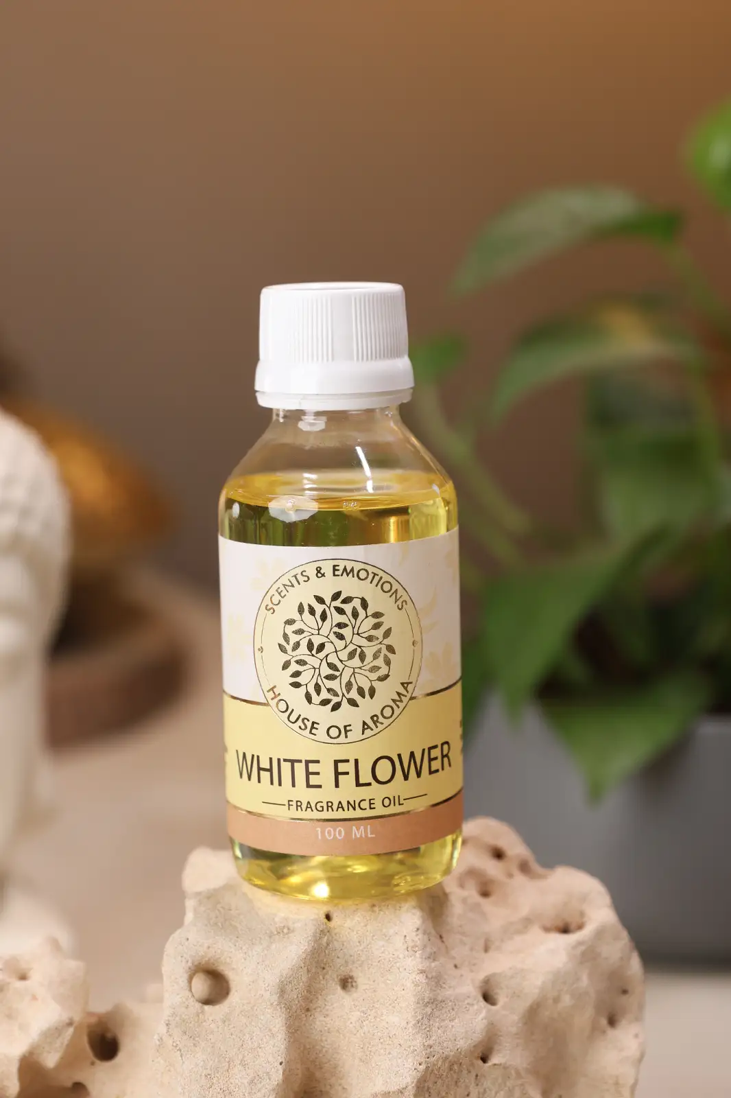 white flower fragrance oil 100ml, Fragrance Oil, Aroma oil, Synthetic oils, Fragrance oil for candles, oil for diffusers, Aromatic oil, Candle oil, Aromatherapy oil, oil manufacturers, House of Aroma, white flower fragrance oil, white flower with fragrance, white scented flowers in india, what is white floral scent, white flower oil scent, white floral oil, flowers fragrance, fragrance white flowers, floral aroma oil