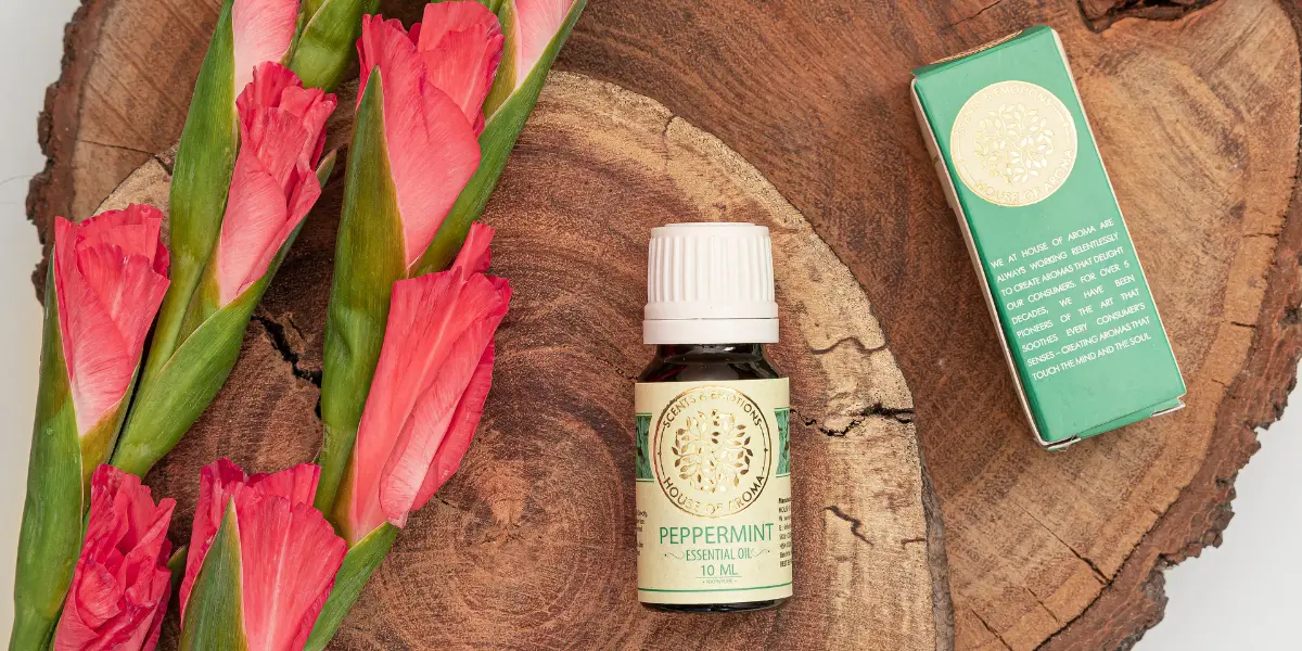 Essential Oils To Boost Immunity, Essential Oils For Immunity Boost, Immunity Booster Essential Oils, Essential Oils To Boost Your Immune System, House Of Aroma