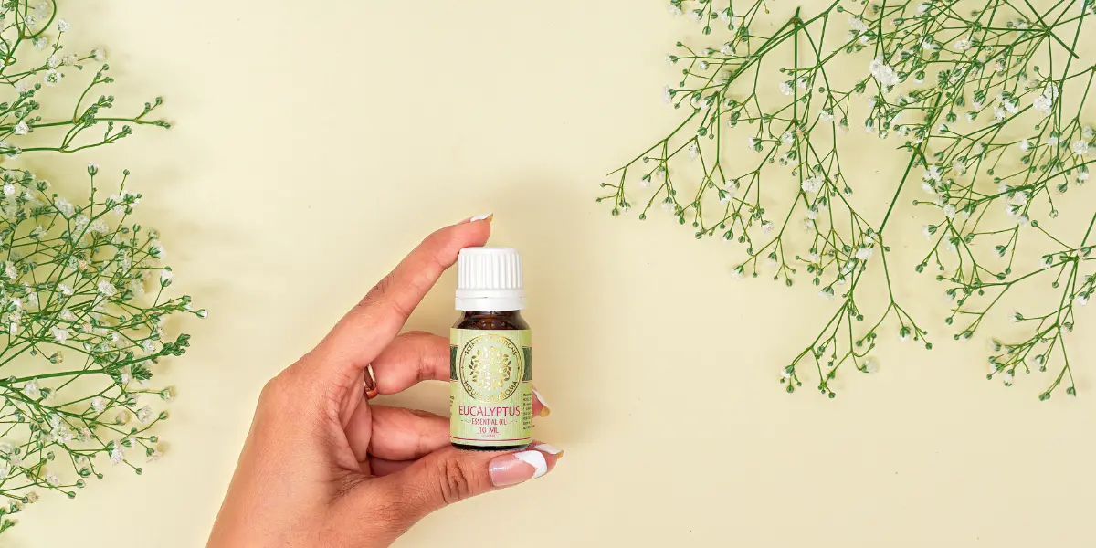 Essential Oils To Boost Immunity, Essential Oils For Immunity Boost, Immunity Booster Essential Oils, Essential Oils To Boost Your Immune System, House Of Aroma