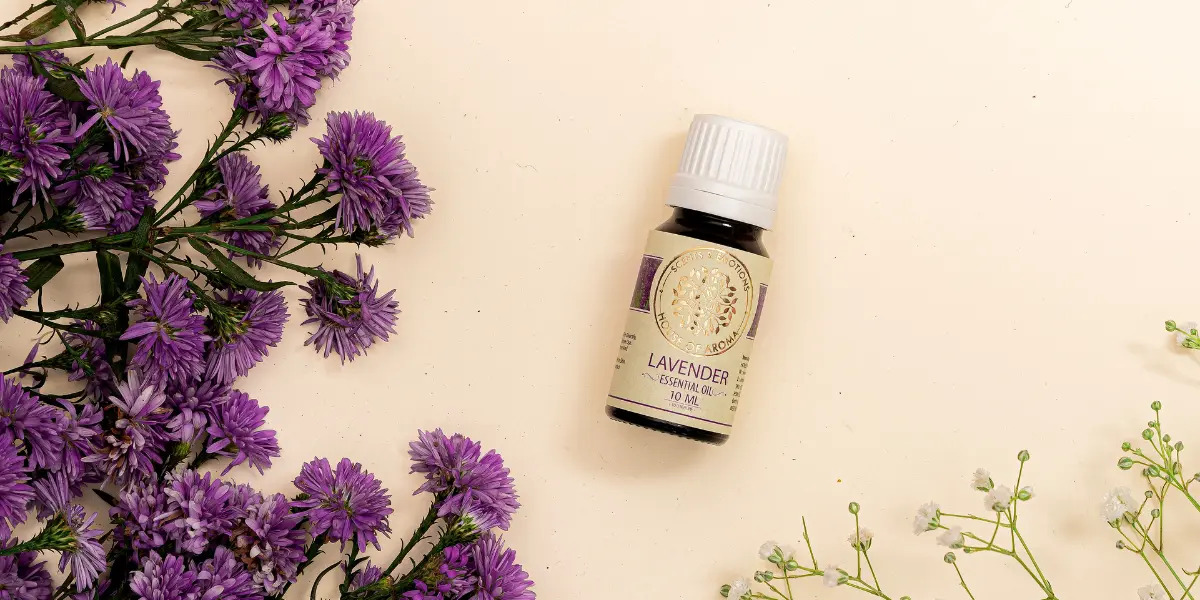 Essential Oils To Boost Immunity, Essential Oils For Immunity Boost, Immunity Booster Essential Oils, Essential Oils To Boost Your Immune System, House Of Aroma