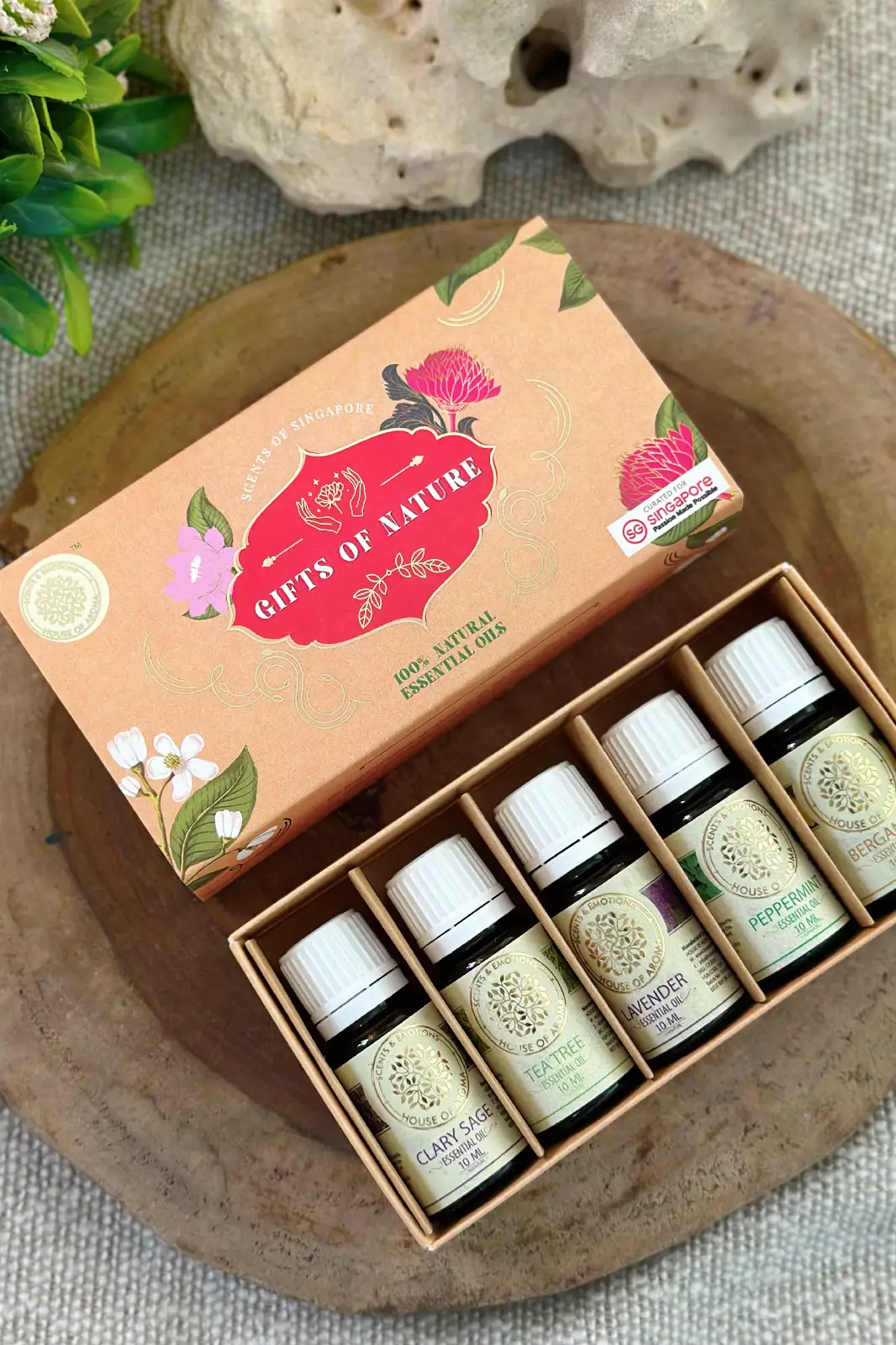 Natural essential oil gift set, essential oil gift set, gift set, essential oil, essential oil gift box, gift set for couple, women gift set, gift set box, gift set for diffuser, aroma gift set, gift set, festive gift, tea tree essential oils, cosmetic gift set, anniversary gift set, House Of Aroma