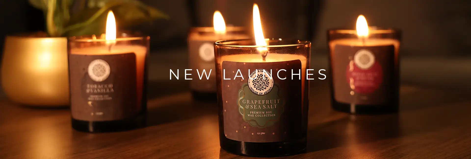 new launches, new product launch, new candle, new fragrances 2024, new aroma, candle launch, new fragrances for home, home decor products online, new product launch in india, home fragrance brands, scented candles, new product launch strategy, aroma candle, new product launch in the market, natural home fragrance products, candles for home, room fragrances, big candles for home