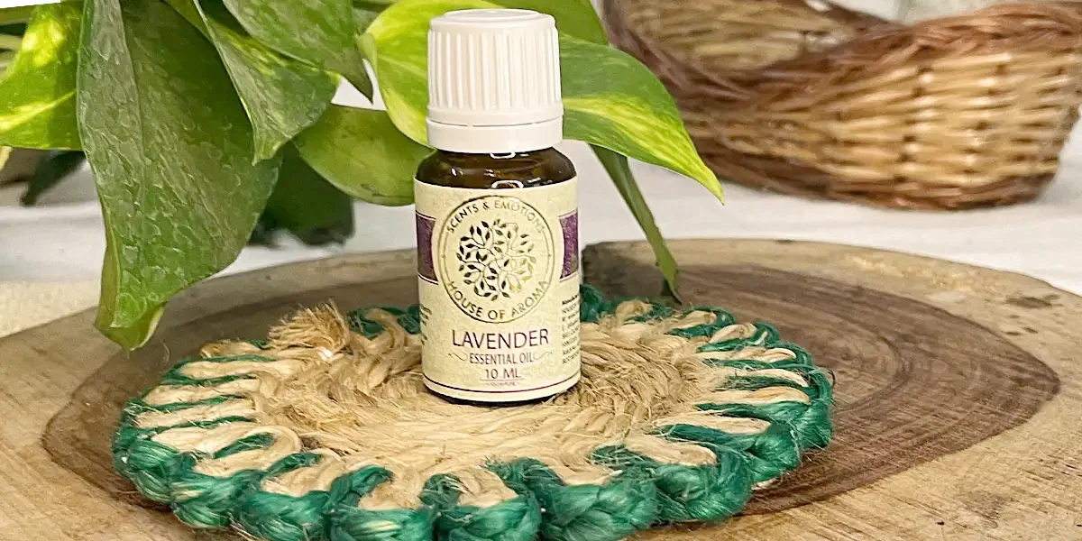 Essential oil for skin problems, healthy skin, best essential oil for skin repair, best essential oil for glowing skin, best essential oil for skin repair