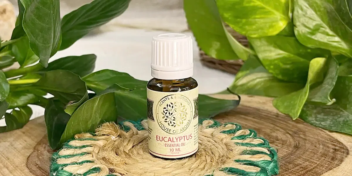 Essential oil for skin problems, healthy skin, best essential oil for skin repair, best essential oil for glowing skin, best essential oil for skin repair