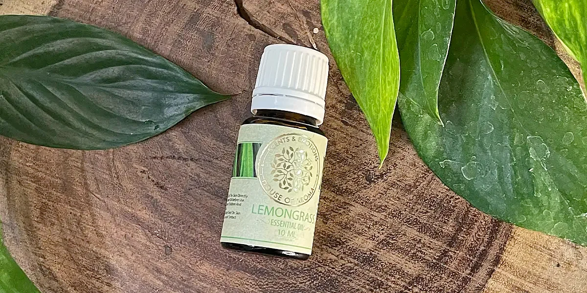 Essential oil for skin problems, healthy skin, best essential oil for skin repair, best essential oil for glowing skin, best essential oil for skin repair