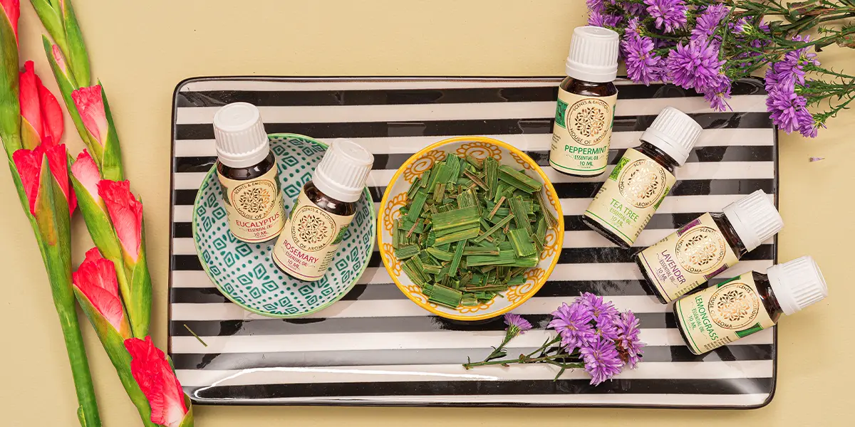 andle gift set, scented candle gift set, candle gift box, candle gifts, candle gift hamper, luxury candle gift set, diwali candle gift set, fragrance candle gift set, soy candle gift box, gifting solutions, diffuser and candle gift set, gifting occasions, candle gifts sets, relaxing candle gift set, most popular candle scents, perfect gift for all occasions, aroma candle gift set, home decor candles, wax candles, aromatherapy candle gift set, decorative candles