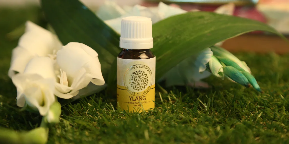 Diffuser Fragrance Oil, Oil For Diffuser Refill, Best Home Fragrance Oils, Best Aroma Oils For Diffuser, Aromatic Oils For Diffuser, Fragrance For Humidifier, scented oil, Aromatherapy diffuser oils, Fragrance oil for home diffuser, Home fragrance oil for diffuser, aromatherapy air fresheners, Long-lasting diffuser oil scents, Diffuser oils for relaxation, House Of Aroma