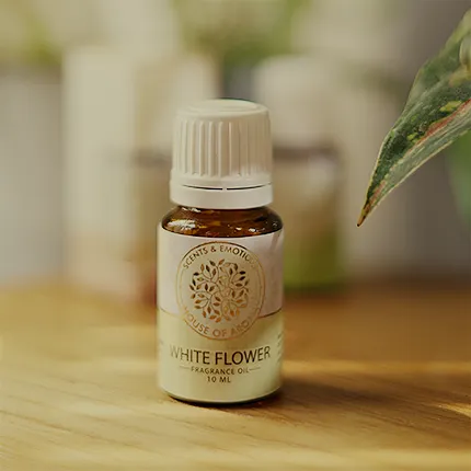 Fragrance Oil, Aroma oil, Synthetic oils, Fragrance oil for candles, oil for diffusers, Aromatic oil, Candle oil, Aromatherapy oil, oil manufacturers, House of Aroma, Lavender Fragrance Oil, Lavender fragrance oil for diffuser, Premium fragrance oil brand, fragrance of lavender, lavender aroma oil, lavender scented oil, lavender scent, lavender aroma, buy fragrance oil online