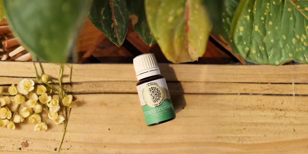 Are Fragrance Oils Safe For Skin, Fragrance Oils Vs Essential Oils, Healthy Skin Tips, Oil For Skin, Skin Care, Oils For Skin Care, Skincare Routine, House Of Aroma