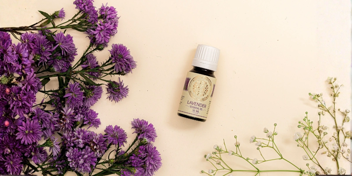 Natural Oils For Home Fragrance, Natural Essential Oils, Oils To Make House Smell Good, Natural Aroma For Home, Aroma Oils, Natural Home Fragrance, House Of Aroma