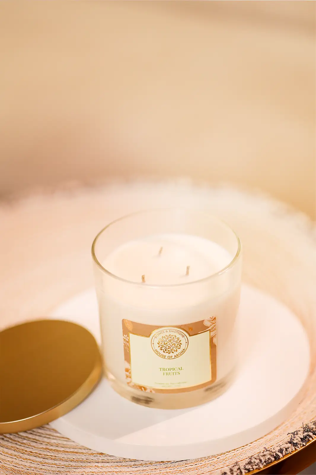 Natural Wax Tropical Fruits 3 Wick Candle, 3 Wick Candles India, 3 Wick Candle Vanilla, 3 Wick Candle Jars With Lids, 3 Wick Candle Container, 3 Wick Candle Jar Holder, Jar Scented Candles, Fruit Fragrance Jar Candle, Fruit Flavored Natural Candle, Fruit Fragrance Candle, Fruit Fragrance Perfume, Fragrance Candle Set, Fragrance Candle Gift Set, Fruit Scented Candles, Fruity Candle Scent, Fruit Fragrance Candles,essential Oil Candles, Essential Oil For Scented Candles, Essential Oil Beeswax Candles, Essential Oil Blends Candles, Essential Oil Candles Non Toxic, Vegan Essential Oil Candles, Essential Oil Organic Candles, Pure Essential Oil Candles, House Of Aroma, Home Decor Candle, Room Decor Candles, Scented Candles Decoration, Best Candles For Home Decor, Scented Candles For Home Decor, Room Decor With Candles, Decorating Homemade Candles, Home Decor Scented Candles, Natural Scented Candles, Natural Scents For Candles, Organic Scented Candles India, Luxury Scented Candles India, Natural Soy Candle Wax, Natural Fragrance For Candles, Natural Soy Candle Company, Best Scented Candles India, Scented Candles For Bedroom, Organic, Scented Candles India, Most Fragrant Scented Candles, Glass Jar Candles, Bell Jar Candles, Bell Jar Candle, Bell Jar Candle India, Essential Oil Wax Candle, Soy Wax Essential Oil Candles, Essential Oil Wax Candles, Natural Scented Candle Brands, Scented Candles Best Brand, Candle Brands In India, Organic Scented Candles India, Best Scented Candle Brands In India, Top Candle Brands In India, Best Candle Brands In The World, Bedroom Candles, Room Fragrance Candles, Best Bedroom Candles, Best Room Scented Candles, Room Freshener Candles, Beeswax Candles, Beeswax Candles Scented, Beeswax Candles Jar