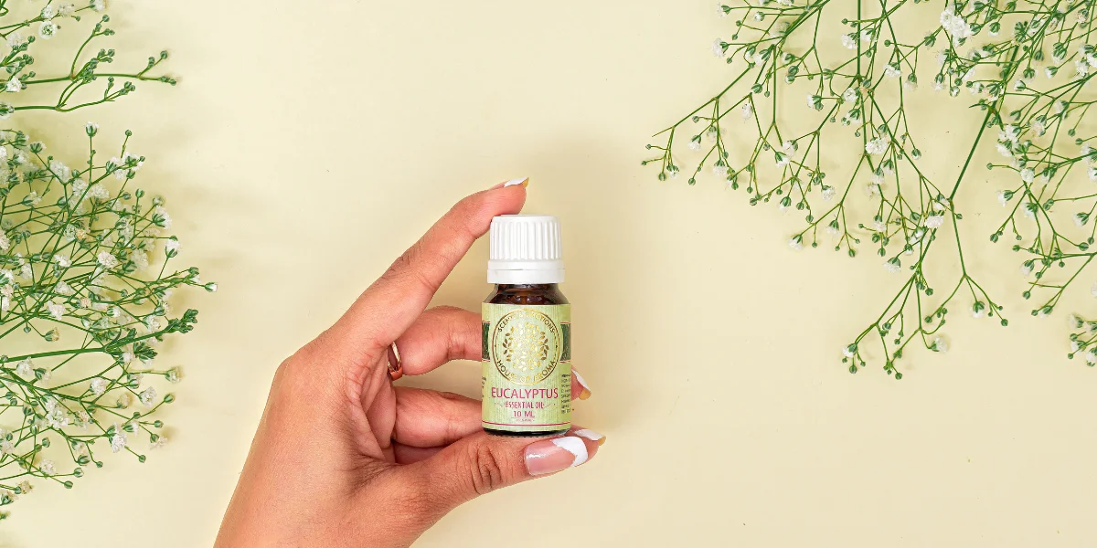 Benefits Of Eucalyptus Oil For Skin, Medicinal Benefits Of Eucalyptus Oil, Eucalyptus Oil Uses For Skin, Eucalyptus Oil Advantages, Uses Of Eucalyptus Oil, House Of Aroma