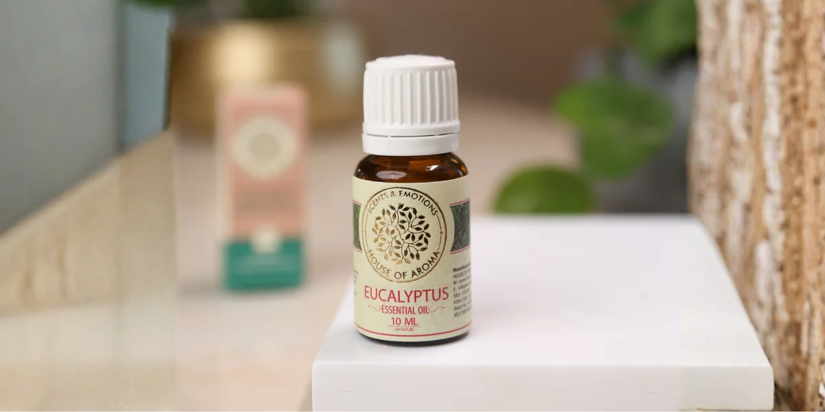 Benefits Of Eucalyptus Oil For Skin, Medicinal Benefits Of Eucalyptus Oil, Eucalyptus Oil Uses For Skin, Eucalyptus Oil Advantages, Uses Of Eucalyptus Oil, House Of Aroma